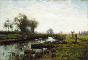 Später Nachmittag, Dachauer Moor