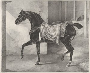 Schwarzes Pferd im Stall angebunden von Theodore Gericault