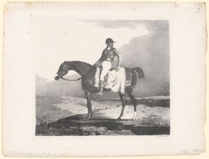 Englisches Pferd von einem Jockey geritten
