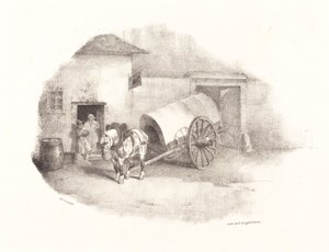 Karrenpferd aus den Limons