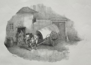 Karrenpferd aus den Leimen befreit