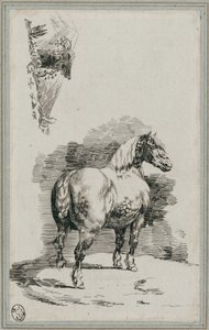 Schimmel von Theodore Gericault
