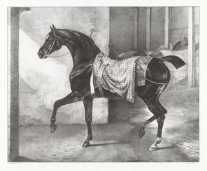 Schwarzes Pferd in einem Stall angebunden von Theodore Gericault