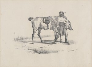Pferd, das vor dem Rennen geführt wird