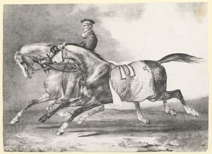 Zwei Schimmel werden ausgeführt von Theodore Gericault
