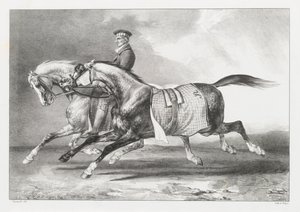Zwei Apfelschimmel beim Ausführen von Theodore Gericault