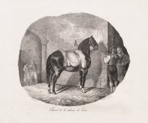 Pferd von der Caen-Ebene von Theodore Gericault
