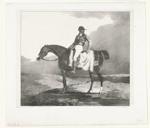 Jockey auf einem englischen Vollblutpferd