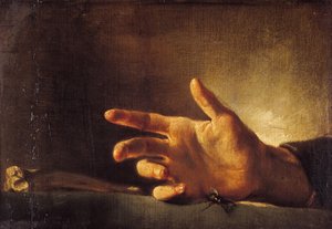 Studie einer Hand