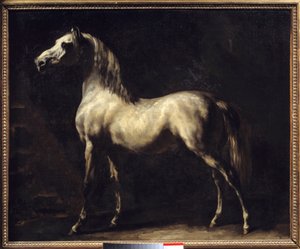 Studie eines Pferdes von Theodore Gericault