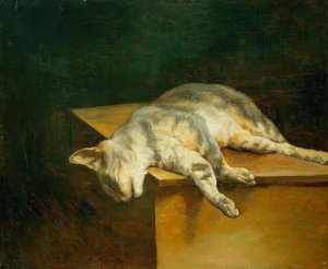 Tote Katze