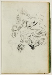 Zwei Löwenstudien von Theodore Gericault