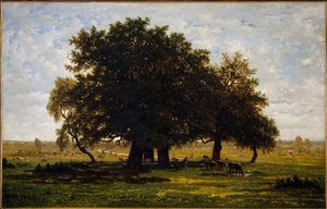 Gruppe von Eichen, Apremont.