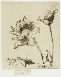 Zwei Blumen von Theodore Roussel