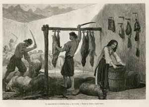 Die Zubereitung der Castradina, Spezialität aus gesalzenem und geräuchertem Schaf- und Ziegenfleisch, gegen Ende Oktober, in Dalmatien (Istrien und Herzegowina (Kroatien)), Zeichnung von Valerio, um die Reise nach Montenegro in 1874 von Charles Yriarte zu  von Theodore Valerio