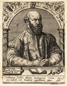 Adam Lonicer oder Lonitzer von Theodore de Bry