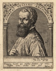 Andreas Vesalius, flämischer Arzt und Anatom