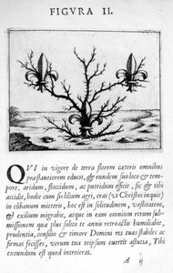 Prophezeiungsfigur II aus Prognosticatio Eximii Doctoris Paracelsi, 1536