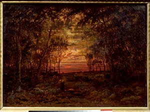 Sonnenuntergang im Wald