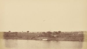 Ufer des Nils mit Palmen und Boot
