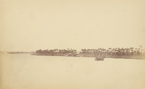 Ufer des Nils mit Palmen und Booten