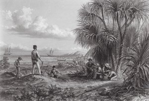 Australien: Lager eines Entdeckers von Thomas (after) Baines