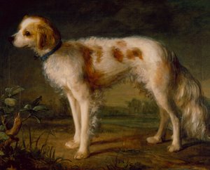 Ein Spaniel in einer Landschaft