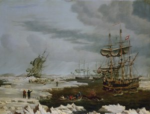 Hull-Walfänger in der Arktis