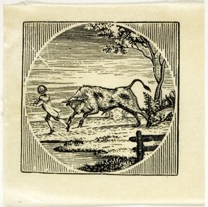 Buchillustration von Thomas Bewick