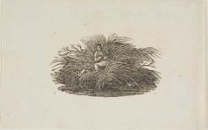 Vignette: Mann im Busch von Thomas Bewick