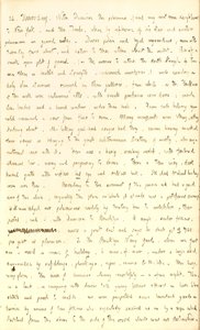 Thomas Butler Gunn Tagebücher - Band 2, Seite 142, 24. Juli 1851 von Thomas Butler Gunn
