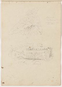 Pflanze im Kolosseum; Architektonisches Fragment von Thomas Cole