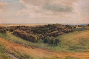 Arundel Park von Thomas Collier