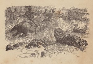 Der Angriff der Leichten Brigade (farbige Gravur) von Thomas Dalziel