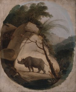 Das Indische Nashorn von Thomas Daniell
