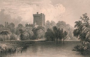 Blarney Castle, Co. Cork von Thomas Dixon