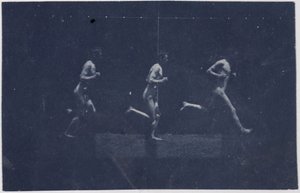 Marey-Rad-Fotografien von George Reynolds, ca. 1884