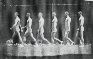 Marey-Rad-Fotografien von Jesse Godley, 1884