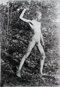 Steinewerfer, ca. 1883 von Thomas Eakins