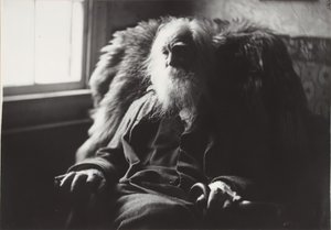 Walt Whitman in Camden, N.J., ca. 1891
