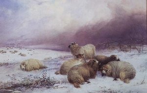 Winterlandschaft mit Schafen von Thomas Francis Wainewright