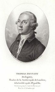 Thomas Pennant von Thomas Gainsborough