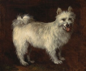 Spitzhund von Thomas Gainsborough RA