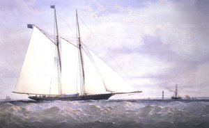 Die Livonia, 1871