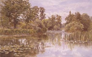 Ein ruhiger Fluss