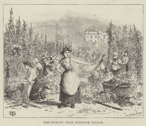 Hopfenernte in der Nähe des Farnham Palace von Thomas Harrington Wilson