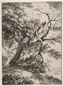 Beispiele der Polyautographie: Landschaft mit einer Eiche von Thomas Hearne