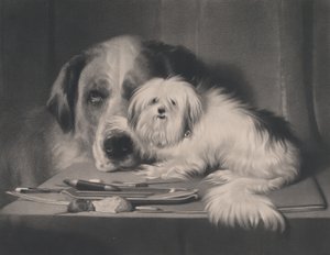 Der Löwenhund von Malta - Der Letzte seiner Art, 1844