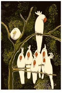 Im Land des Kakadus von Thomas MacGregor