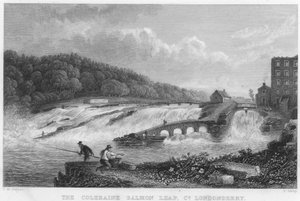 Der Coleraine-Lachssprung, County Londonderry